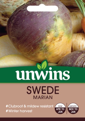 Swede Marian Seed